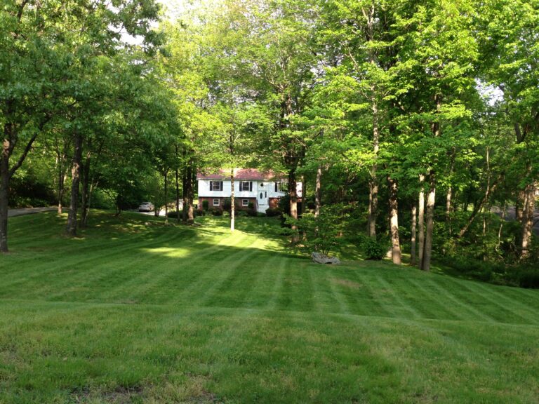 Finally our New Home!