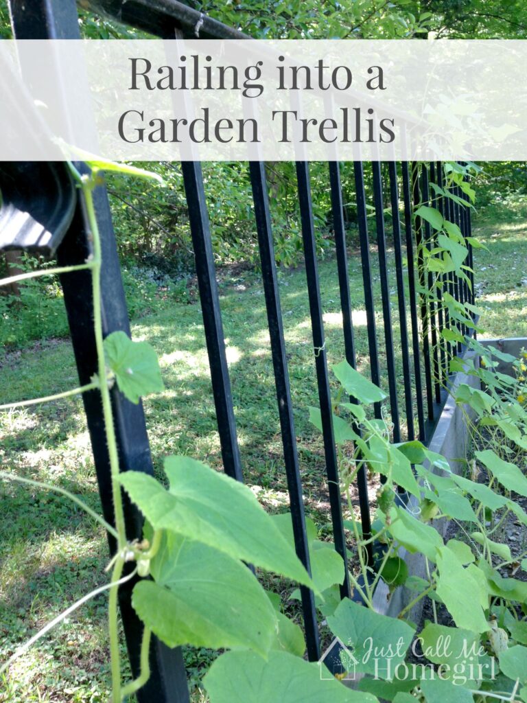 Railing into Garden Trellis