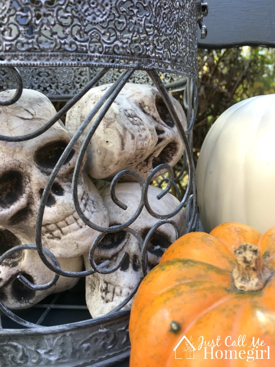 Halloween Skulls