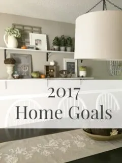 2017 Home Goals