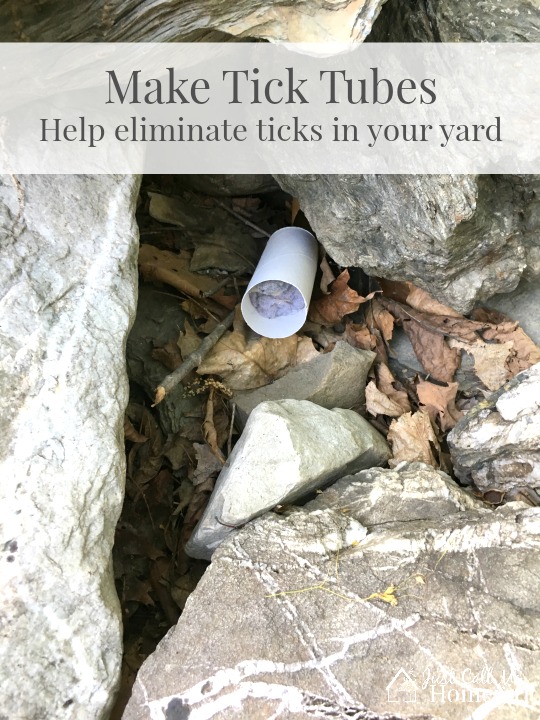 kill ticks in yard