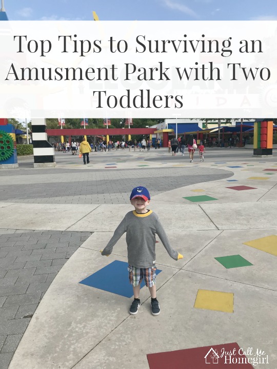 Tips For Surviving An Amusement Park with Toddlers