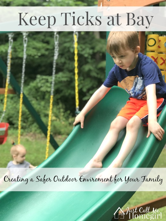 Keeping Ticks at Bay – Creating a Safer Outdoor Environment For Your Family