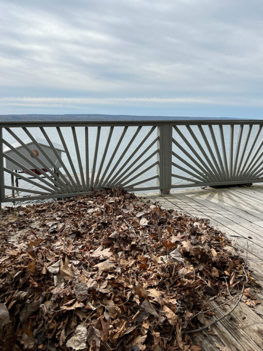 Deck over looking lake with a pile of leaves on it. 