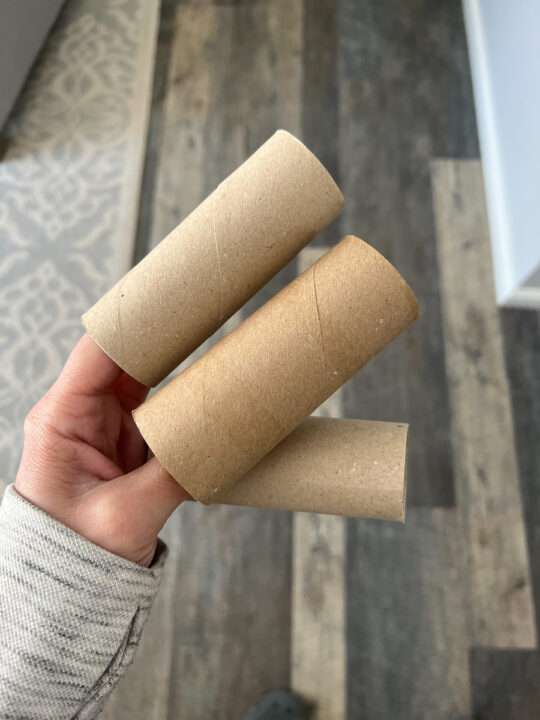 empty toilet paper rolls