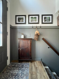 Raised Ranch Entryway