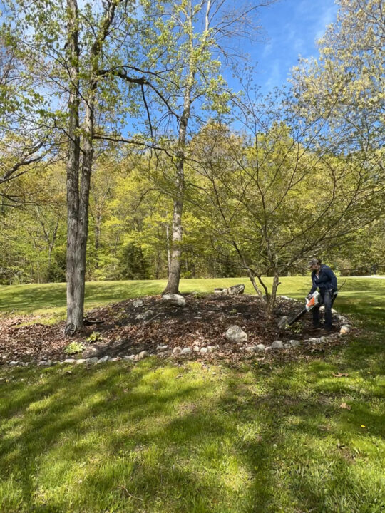 using leaf blower in garden bed