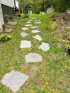 garden path with stone and moss