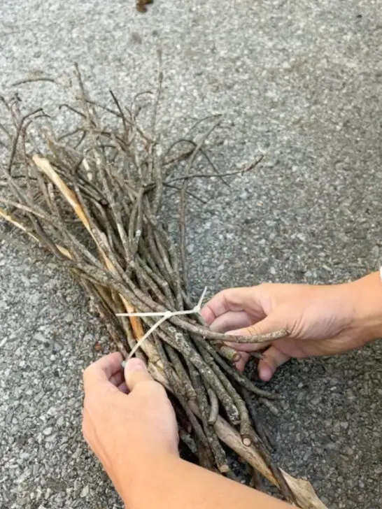 grouping of sticks to make a broom