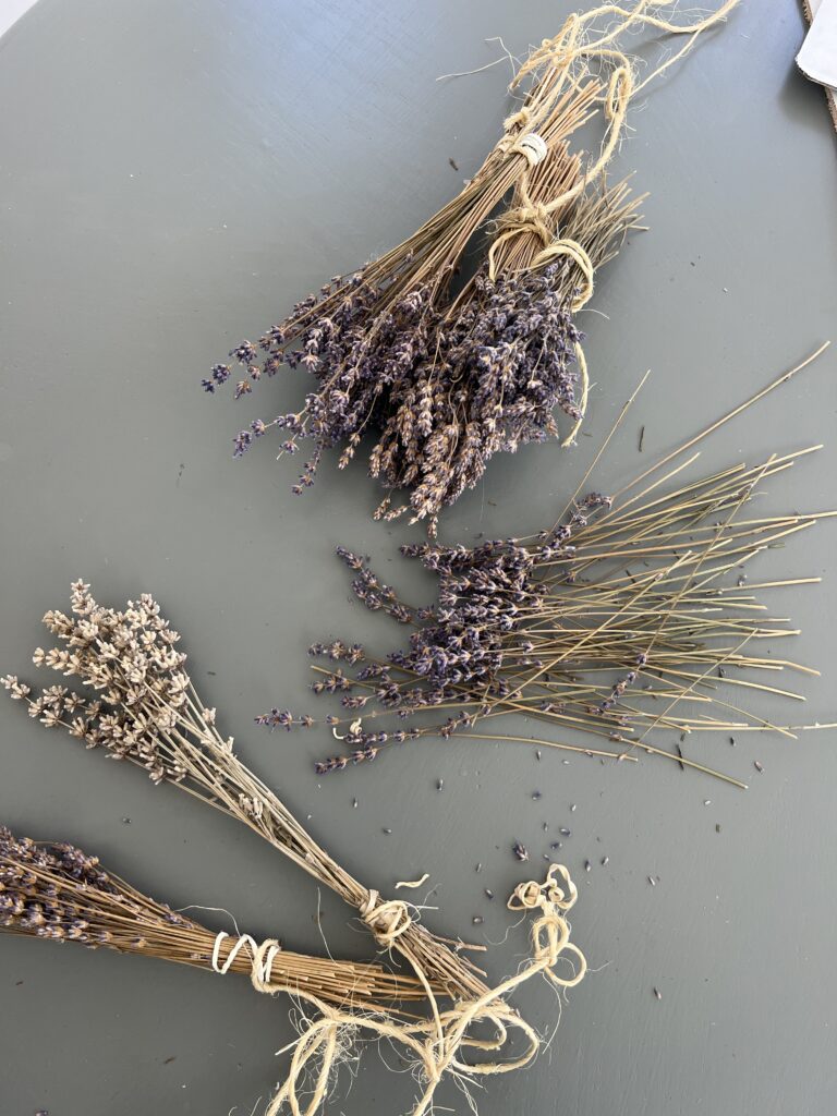 dried lavender in bunches